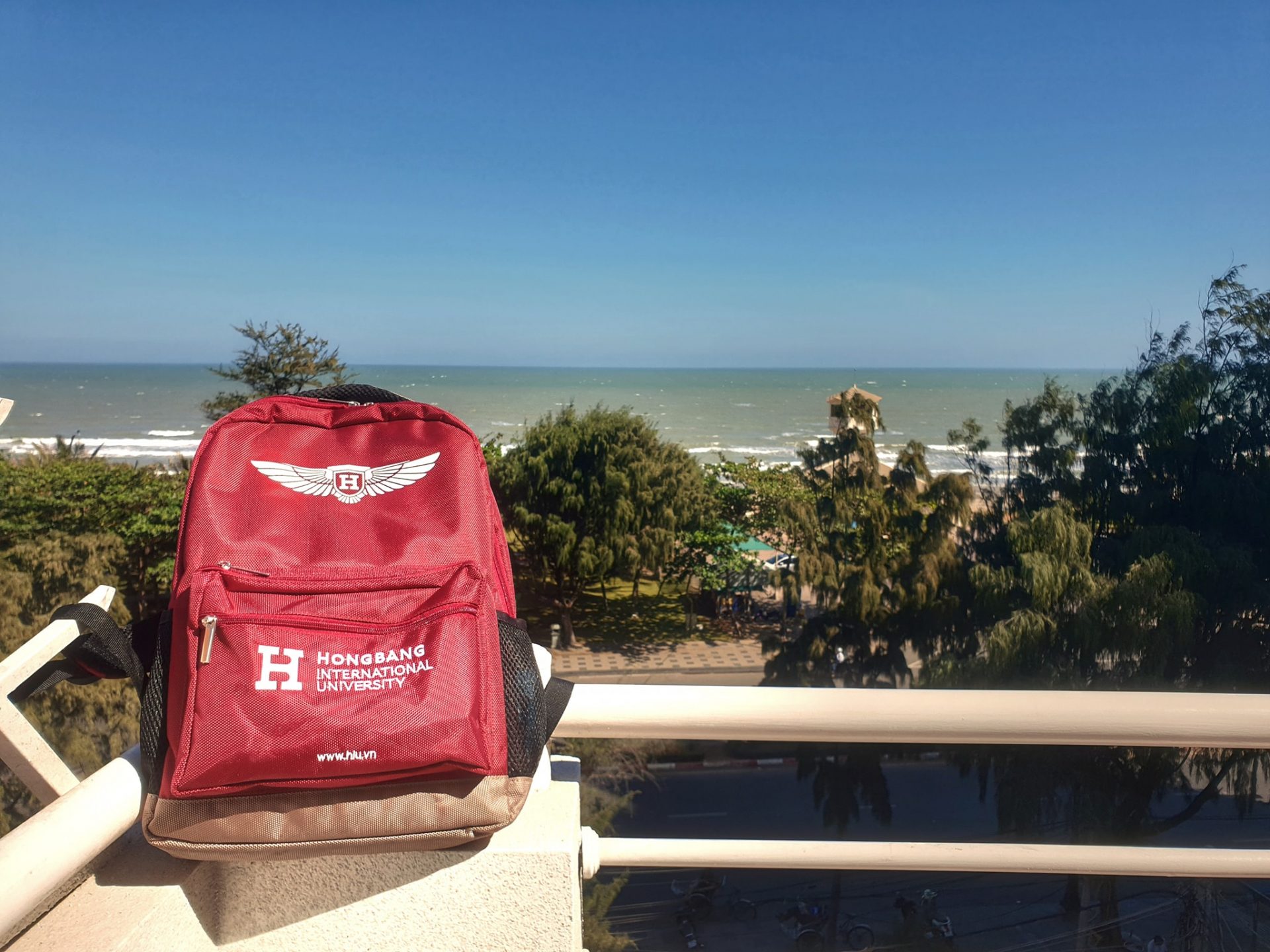 84315872 2669882183081509 3656302016952532992 N